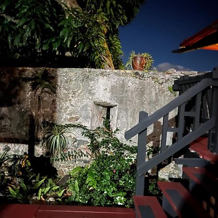 Mid-Century: Caribbean Style Apartment Contant  Exterior photo